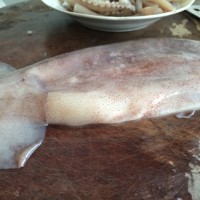鲜韭鱿鱼的做法图解1