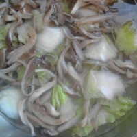 蚝油蘑菇炒白菜的做法图解4