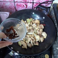 小鸡炖蘑菇的做法图解6