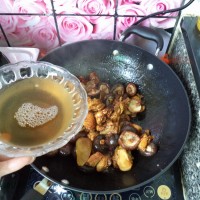 小鸡炖蘑菇的做法图解10