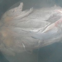 茶香卤牛肉(电饭煲版)的做法图解2