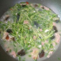上汤豆苗的做法图解5