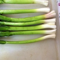 大蒜炒鸡肝的做法图解4