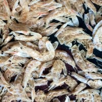 宝宝味精(虾粉)的做法图解8