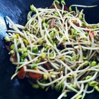 五花肉黄豆芽青椒炒粉条的做法图解8