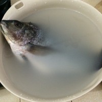 自制红烧鱼的做法图解1