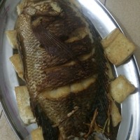 自制红烧鱼的做法图解9