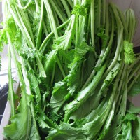 雪里红拌黄豆的做法图解1