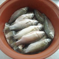 酥鲫鱼的做法图解5