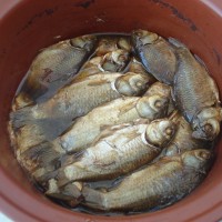 酥鲫鱼的做法图解8