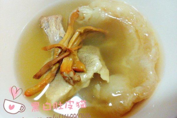 花胶虫草炖花瘦肉(电饭煲懒人版)的做法