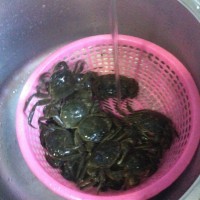 上海醉蟹的做法图解1