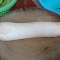 虾米炒杏鲍菇的做法图解1