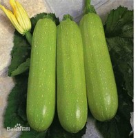 西葫芦酿肉饼的做法图解11