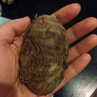 粉蒸排骨的做法图解13