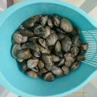 清炒花蛤的做法图解1