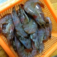 鲜椒蒸虾----无油清蒸更健康的做法图解2