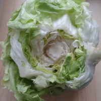 爽口的白灼生菜的做法图解1