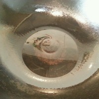 照烧鸡腿的做法图解8