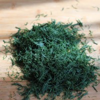 苔条煨年糕的做法图解3