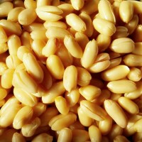 美味小酱菜香菇豆的做法图解3