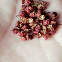 美味小酱菜香菇豆的做法图解5