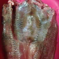 电饼铛烤鱼的做法图解1