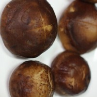 烤香菇串——冬季暖身的做法图解2
