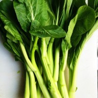 白灼菜心的做法图解1