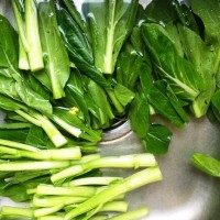 白灼菜心的做法图解3
