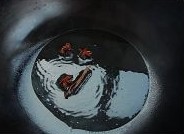 番茄炖牛腩的做法图解3