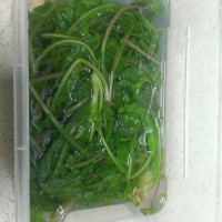 超下饭的炒萝卜缨子的做法图解4
