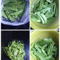 #核美味相会#蚝油核桃炒荷兰豆的做法图解3
