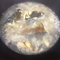 木瓜鱼汤的做法图解3