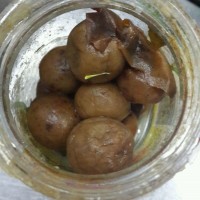 金银蒜蒸深海蝶鱼的做法图解4