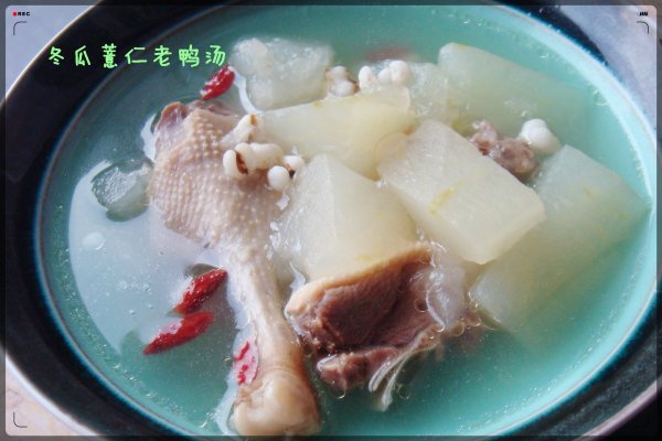 夏天必备 冬瓜薏仁老鸭汤的做法