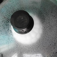 滋阴补肾--栗子花生炖鸡脚的做法图解4