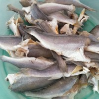 酥炸黄花鱼的做法图解1