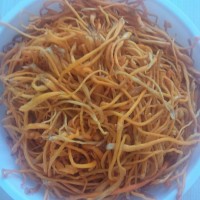 素炒虫草花的做法图解1