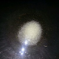 家常小菜--乌江榨菜的做法图解4