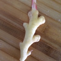 青椒炒肉丝的做法图解4