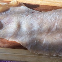 肉皮冻的做法图解1