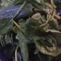 姜汁菠菜的做法图解1
