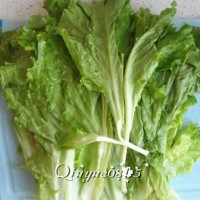 蚝油生菜的做法图解1