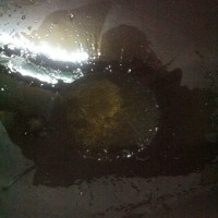 酸菜鱼的做法图解5