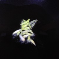 肉丝炒豆干的做法图解3