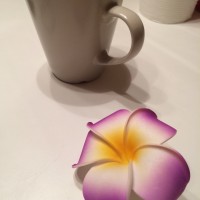 简单好做的香菇辣炒仔鸡的做法图解4