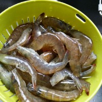 香辣基围虾的做法图解1