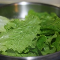广东年夜饭必备蚝油生菜的做法图解3