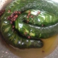 Ĳˬڴƹ